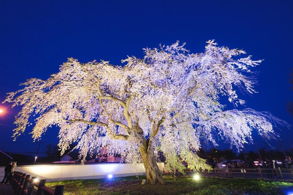 🏯 마쓰마에 번 헤키리치 진야 터 (마쓰마에한 헤키리치 진야아토) 이미지 9